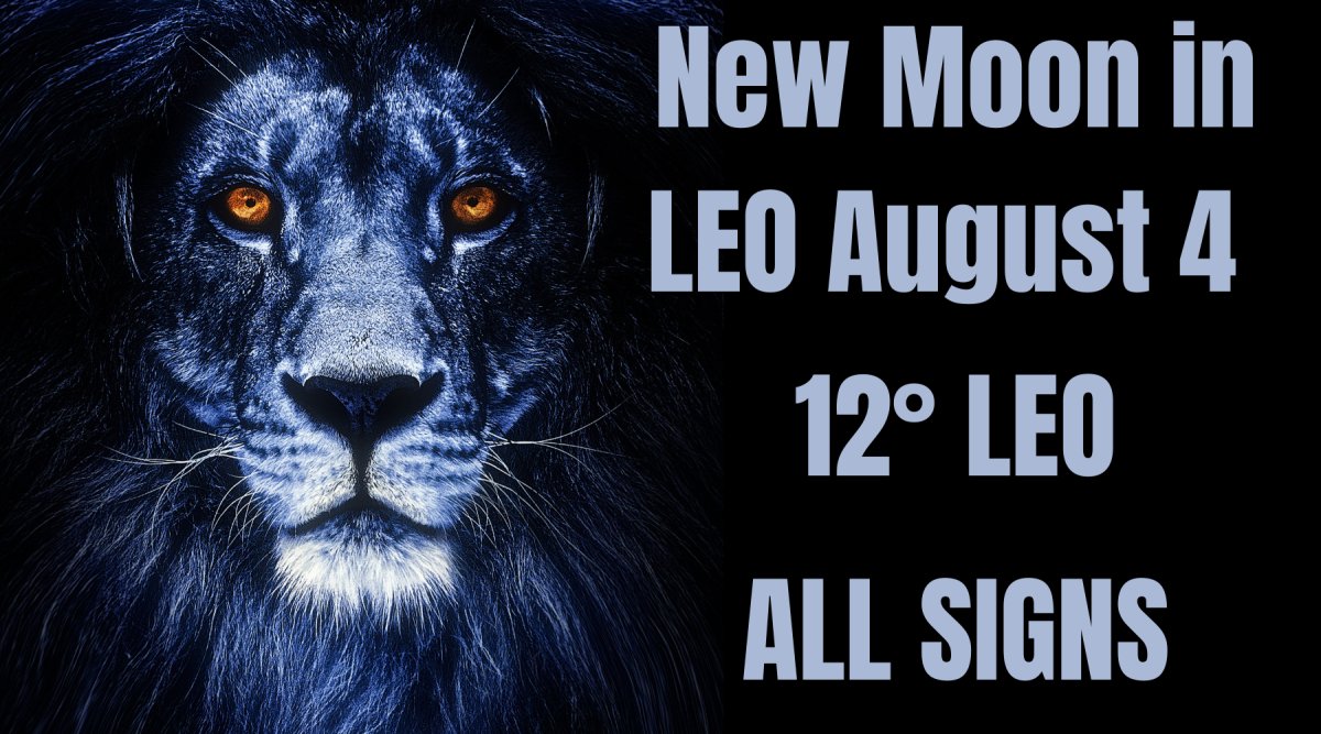 New Beginnings How the New Moon in Leo Affects Each Zodiac Sign Aug