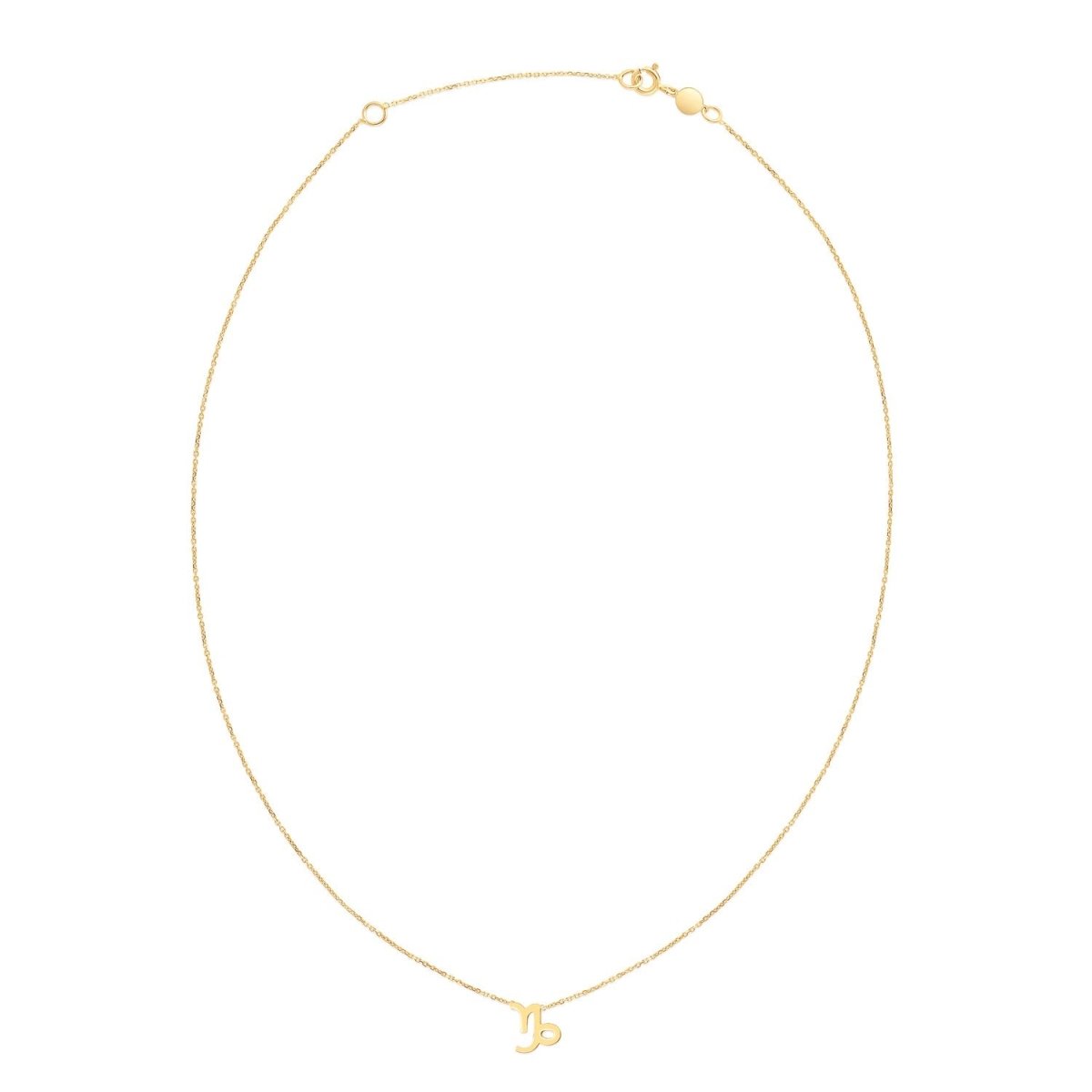 14K Yellow Gold Capricorn Necklace – Astrology House
