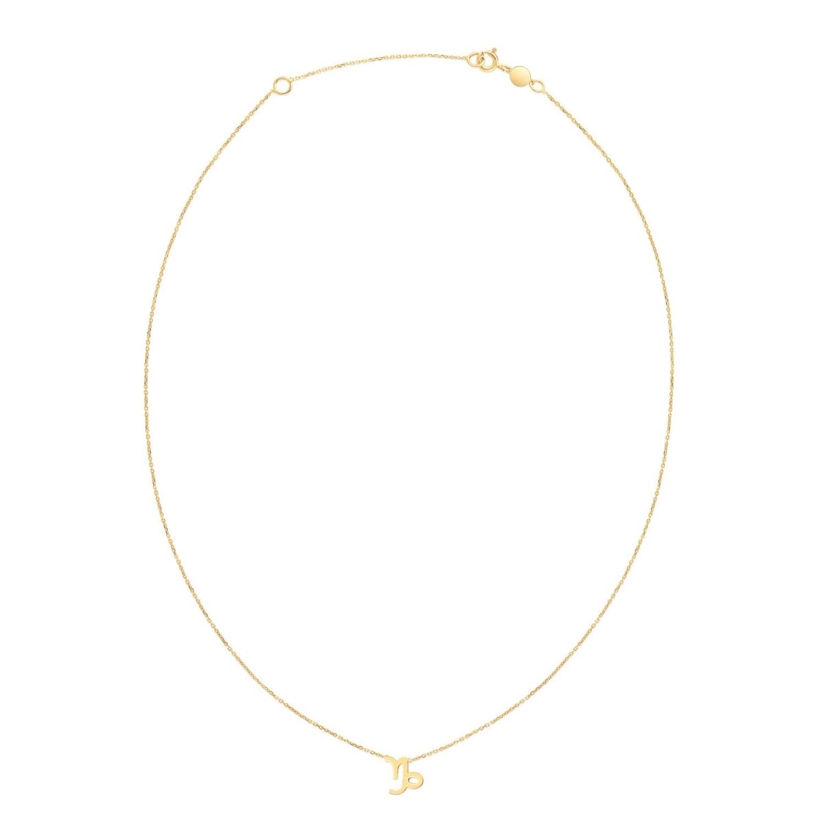 14K Yellow Gold Capricorn Necklace - Astrology House