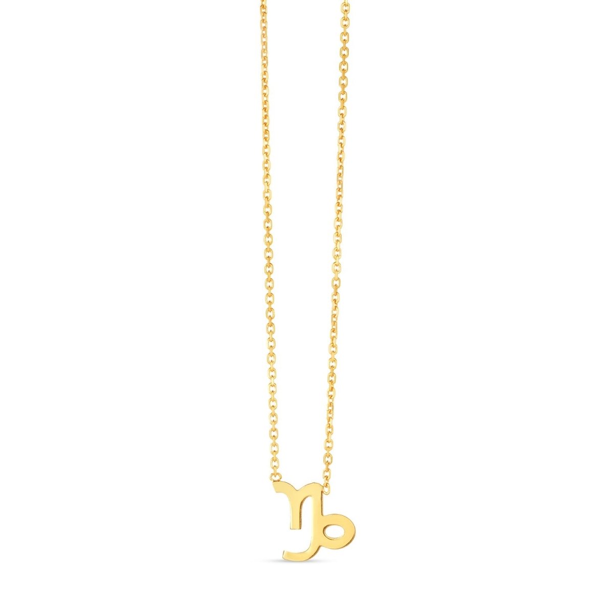 14K Yellow Gold Capricorn Necklace - Astrology House