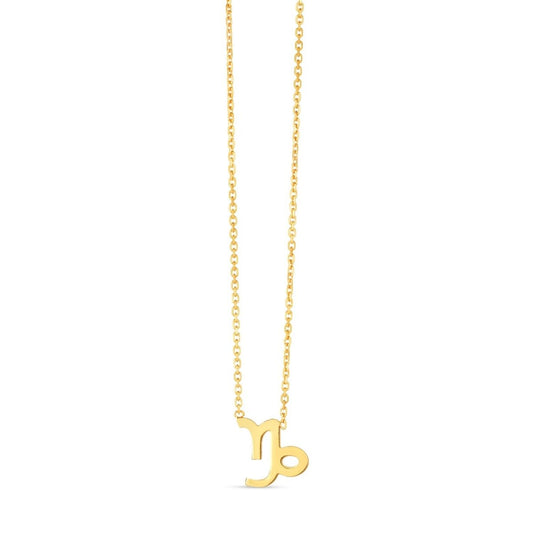 14K Yellow Gold Capricorn Necklace - Astrology House