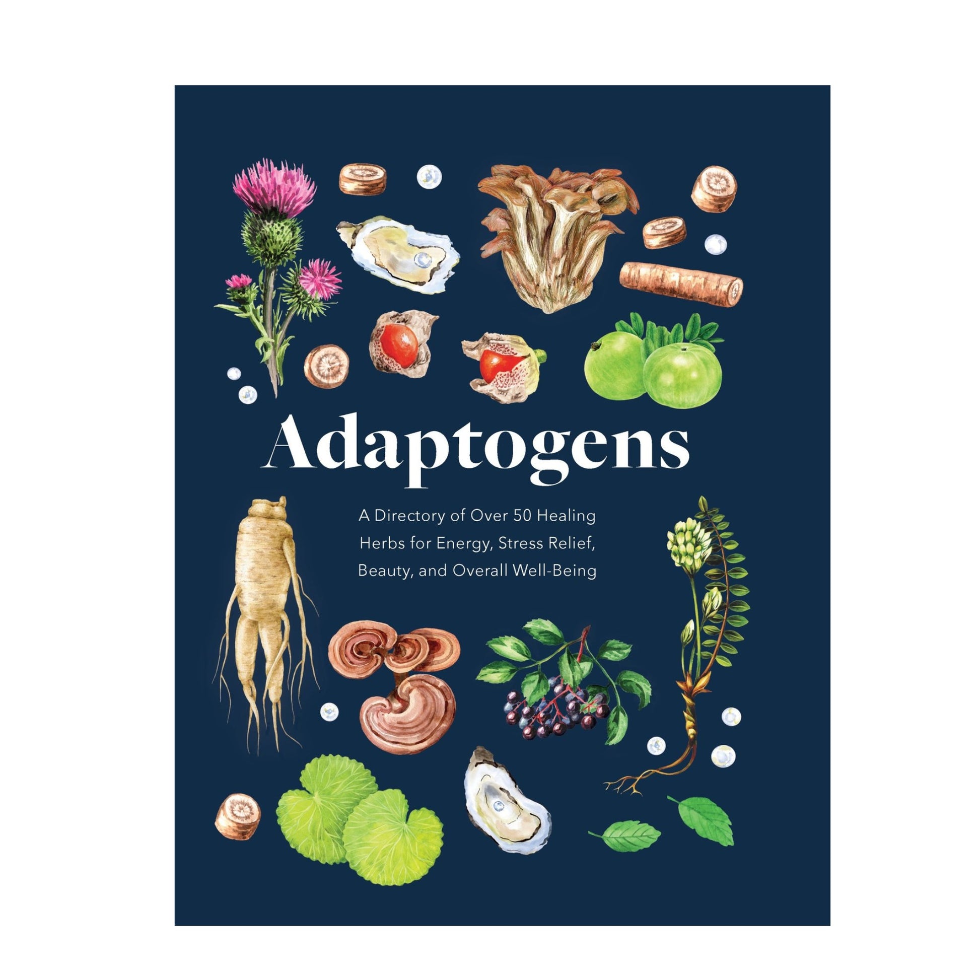 Adaptogens - Melissa Petitto - Mana on Mayne